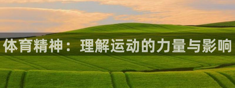 米兰体育官网下载招商电话地址查询：体育精神：理解运动