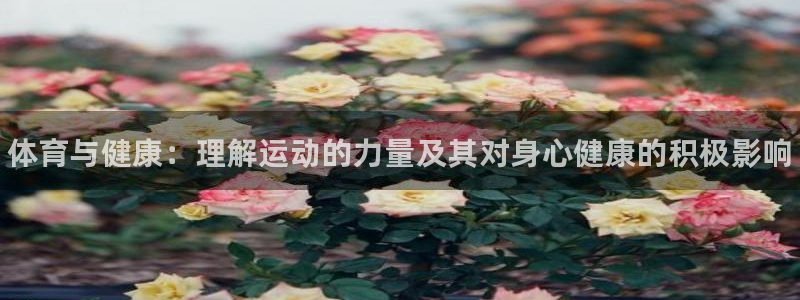 米兰体育官网下载平台APP：体育与健康：理解运动的力