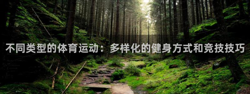 米兰体育官方正版app代理：不同类型的体育运动：多样