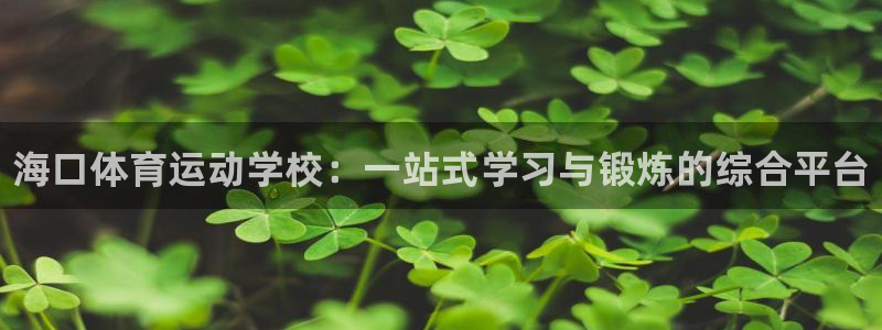 米兰体育官方正版app科技：海口体育运动学校：一站式学习与锻