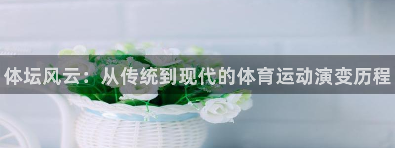 米兰体育官方正版app集团官网首页