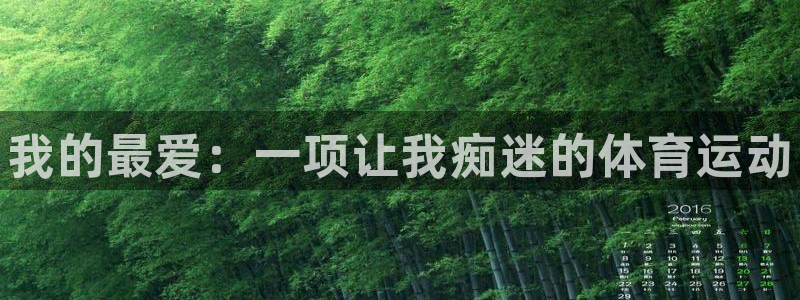 米兰体育官方正版app娱乐网站：我的最爱：一项让我痴迷的体育