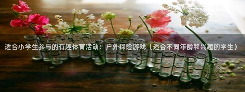 米兰体育官方正版app科技：适合小学生参与的有趣体育