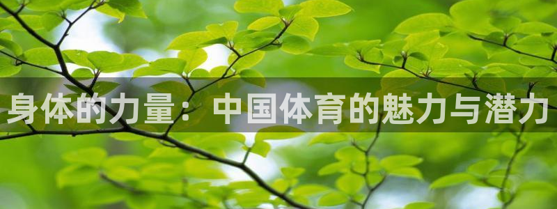 米兰体育官方正版app娱乐下载：身体的力量：中国体育的魅力与
