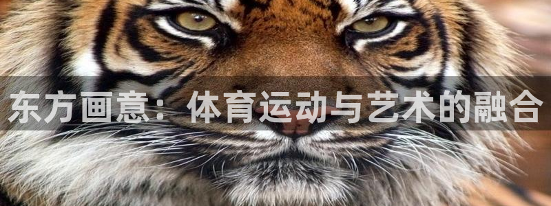 米兰体育官方正版app开户：东方画意：体育运动与艺术的融合