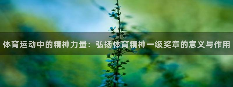 米兰体育官网下载招商电话是多少号码：体育运动中的精神力量：弘