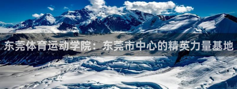 米兰体育官网下载平台假的吗是真的吗：东莞体育运动学院