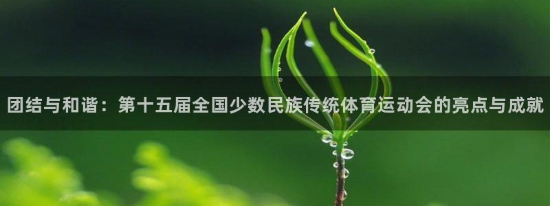 米兰体育官网下载招商电话是多少号码：团结与和谐：第十五届全国