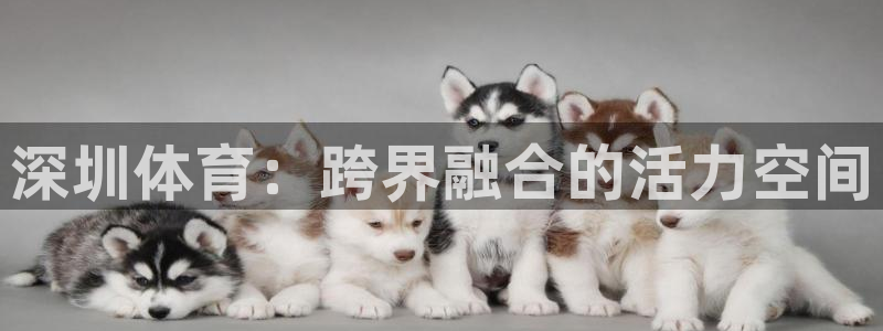 米兰体育官网下载平台注册要钱吗是真的吗：深圳体育：跨界融合的