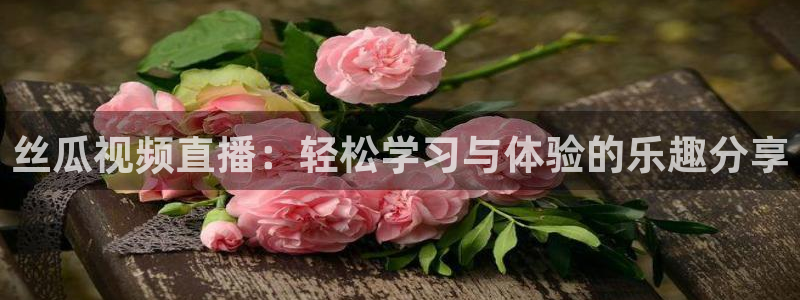 上海五星体育学校：丝瓜视频直播：轻松学习与体验的乐趣分享