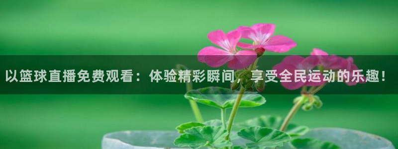 2018f1意大利站正赛五星体育