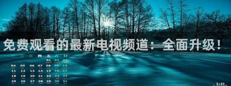 五星体育手机版