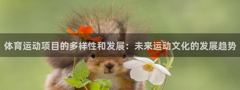 米兰体育官方集团官网：体育运动项目的多样性和发展：未来运动文