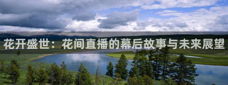 上海五星体育频道官网：花开盛世：花间直播的幕后故事与未来展望